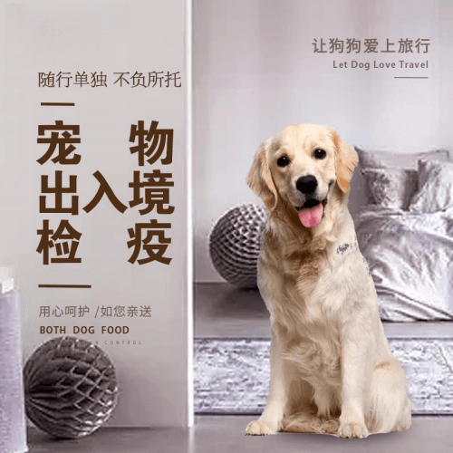 新疆维吾尔自治区宠物托运到哥伦比亚猫狗宠物入境规定和