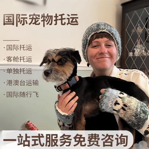 新疆维吾尔自治区国际宠物托运到阿根廷宠物入境规定和要
