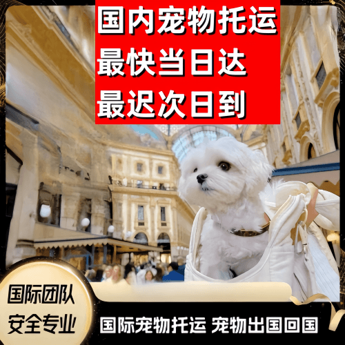 新疆维吾尔自治区到澳大利亚（澳洲）宠物入境规定和要求