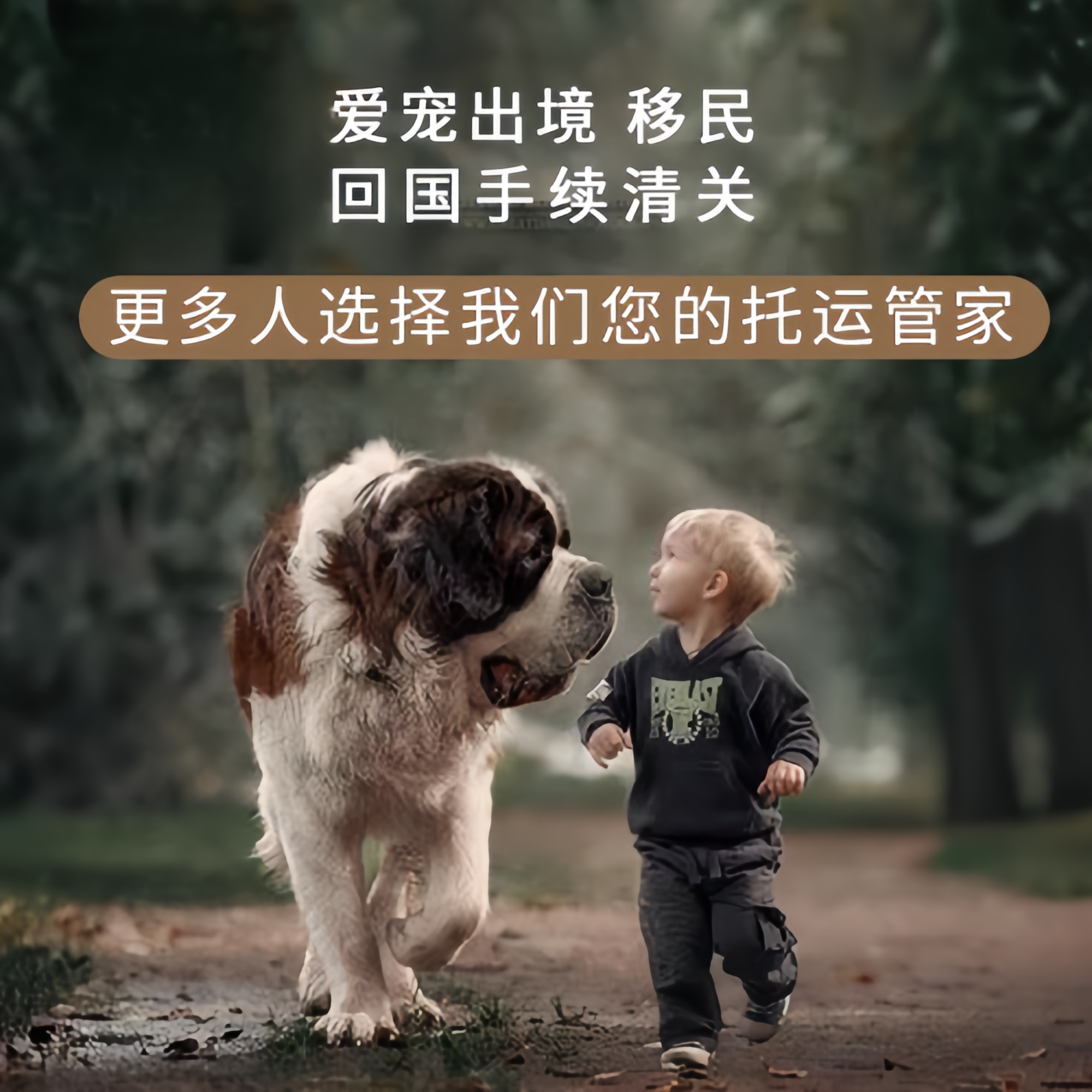 满财新疆维吾尔自治区宠物全球达宠物托运在遵守入境目的地政策的条件