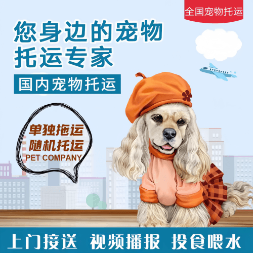 满财新疆维吾尔自治区宠物全球达宠物托运作为专业的宠物运输代理机构